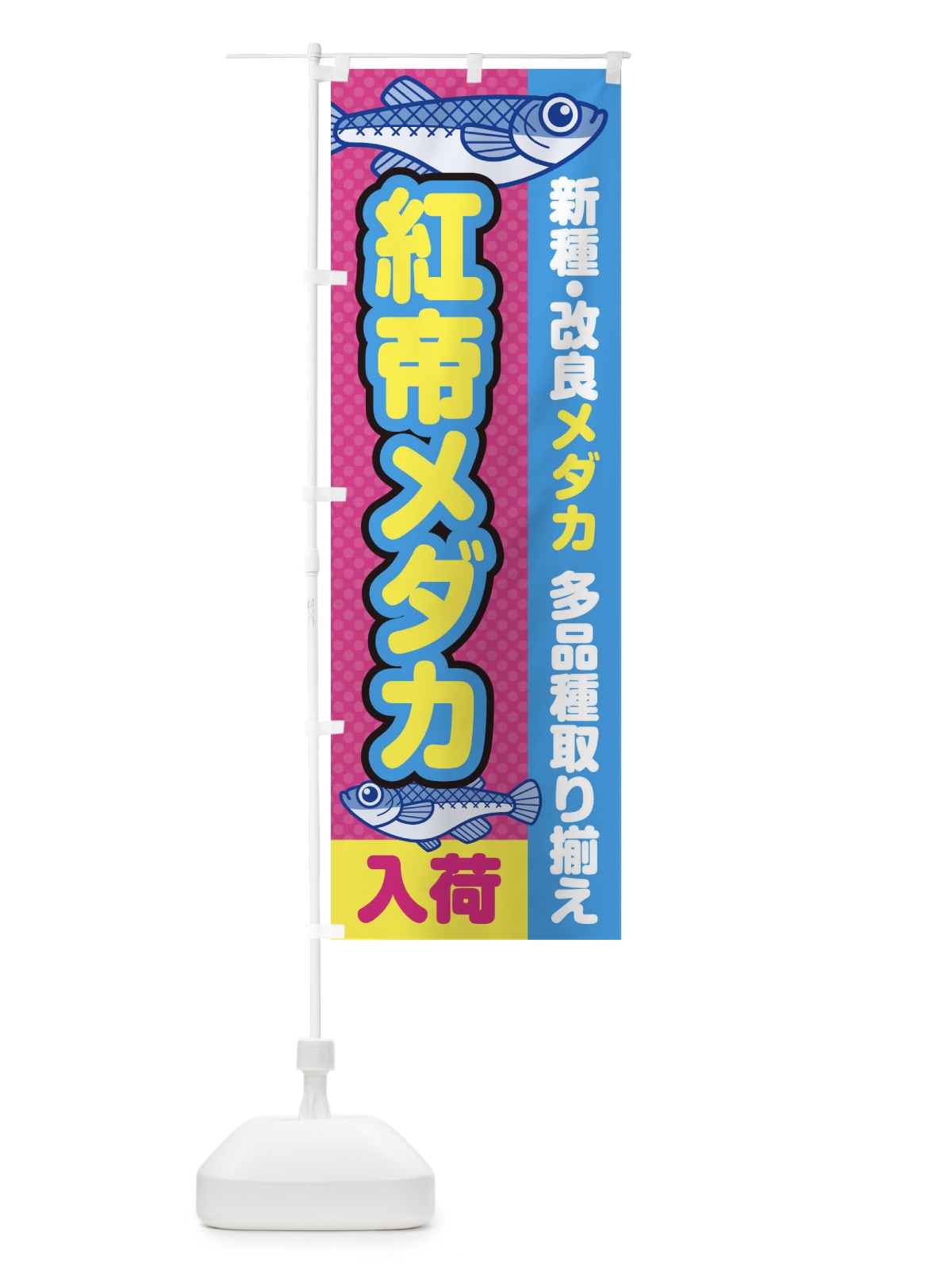 のぼり 紅帝メダカ／入荷／新種・改良メダカ のぼり旗 EYX2(デザイン【B】)