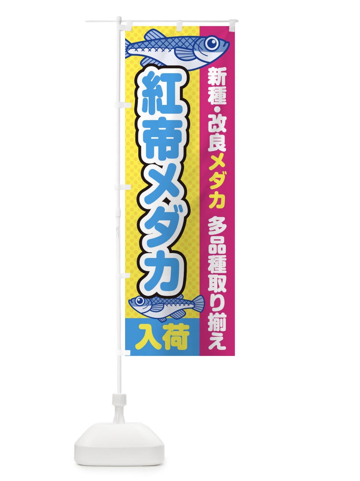 のぼり 紅帝メダカ／入荷／新種・改良メダカ のぼり旗 EYX2(デザイン【C】)