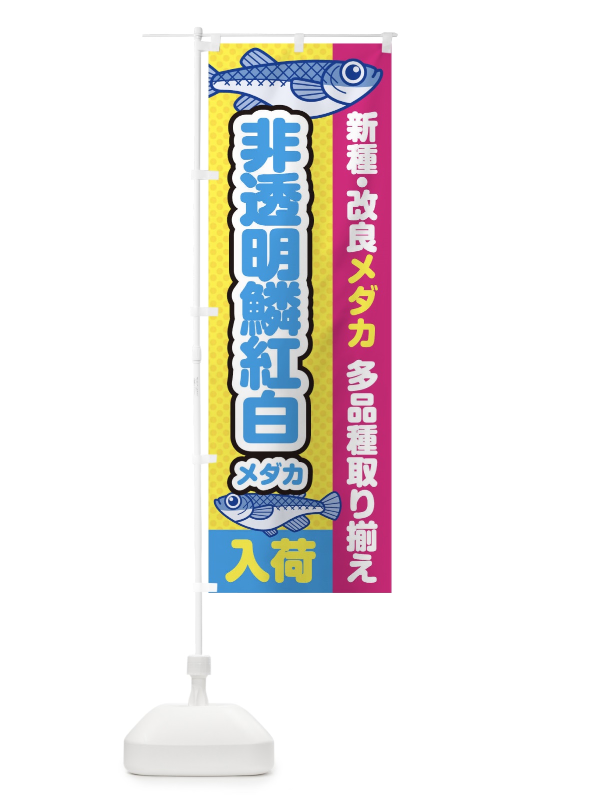 のぼり 非透明鱗紅白メダカ／入荷／新種・改良メダカ のぼり旗 EYX5(デザイン【C】)
