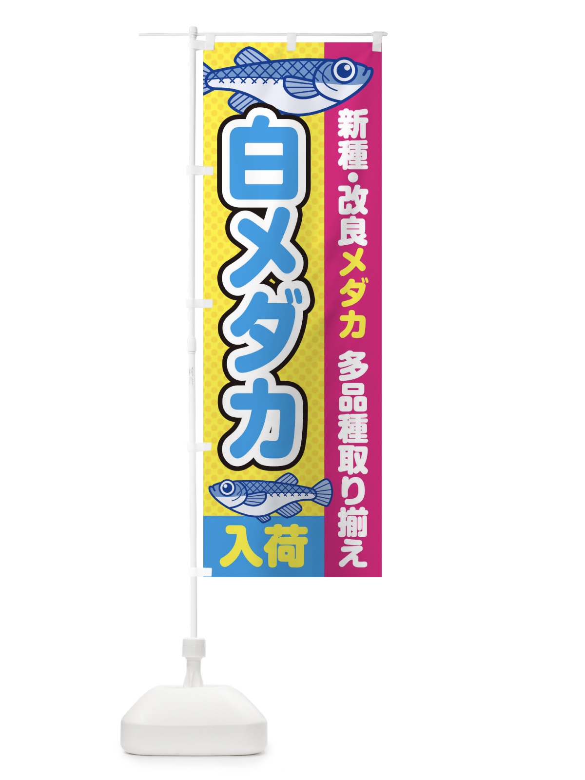 のぼり 白メダカ／入荷／新種・改良メダカ のぼり旗 EYX7(デザイン【C】)
