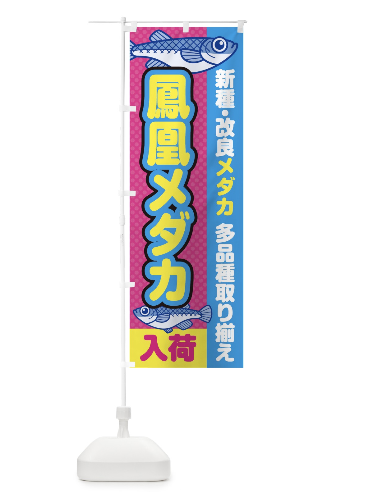 のぼり 鳳凰メダカ／入荷／新種・改良メダカ のぼり旗 EYXH(デザイン【B】)