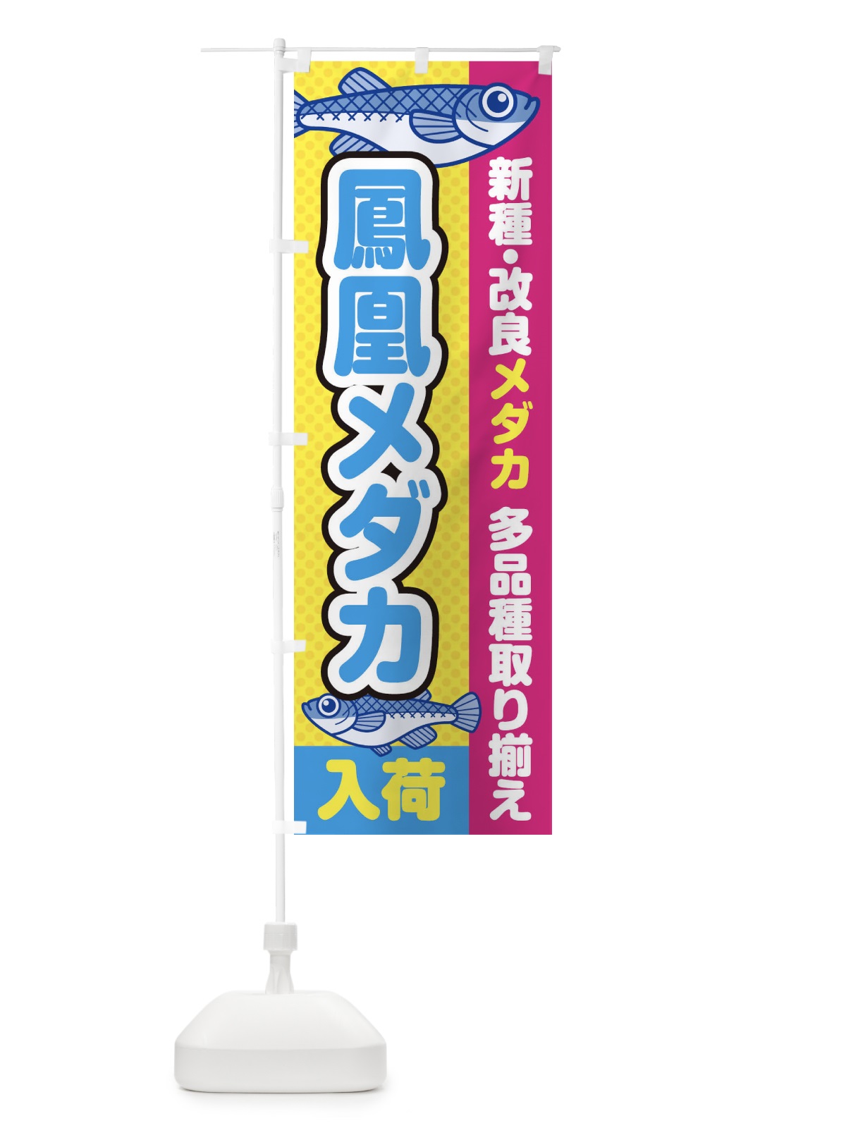 のぼり 鳳凰メダカ／入荷／新種・改良メダカ のぼり旗 EYXH(デザイン【C】)