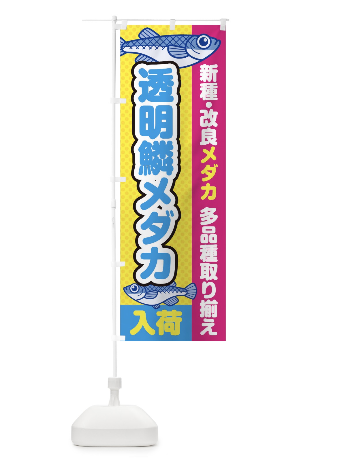 のぼり 透明鱗メダカ／入荷／新種・改良メダカ のぼり旗 EYXX(デザイン【C】)