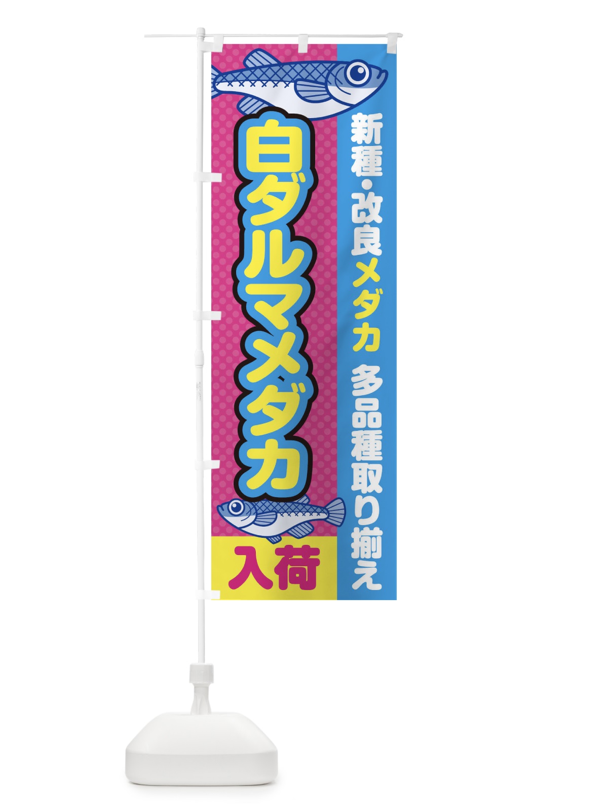 のぼり 白ダルマメダカ／入荷／新種・改良メダカ のぼり旗 EYXY(デザイン【B】)