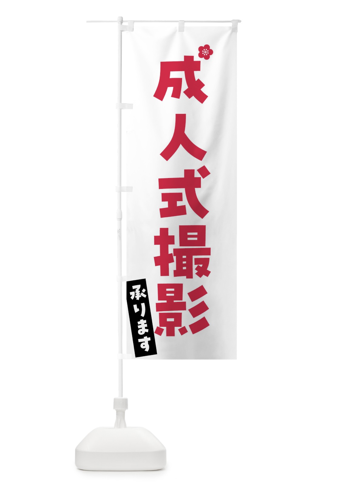 のぼり 成人式撮影承ります のぼり旗 FGSA(デザイン【A】)