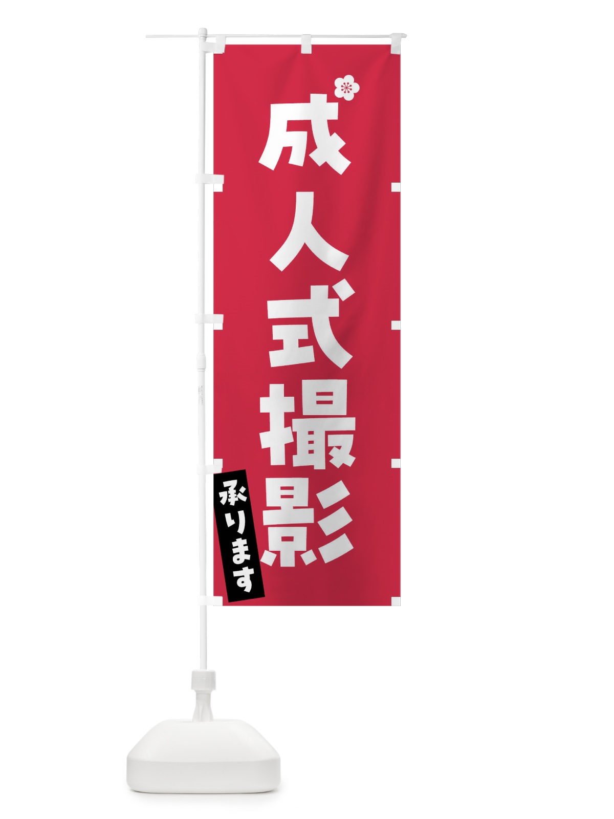 のぼり 成人式撮影承ります のぼり旗 FGSA(デザイン【B】)