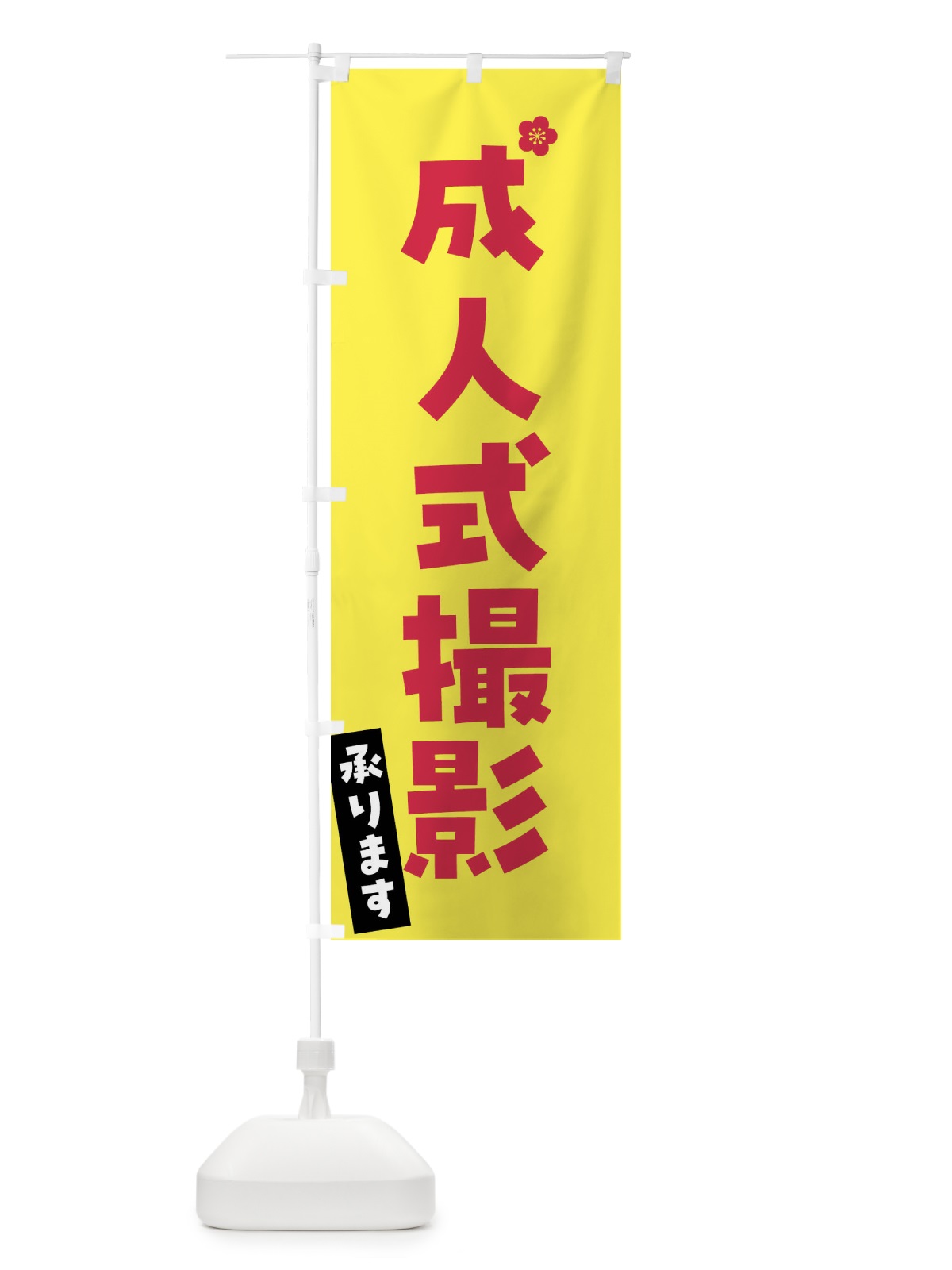 のぼり 成人式撮影承ります のぼり旗 FGSA(デザイン【C】)