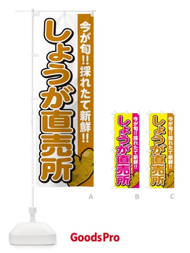 のぼり しょうが直売所・ショウガ・生姜 のぼり旗 GA8Y