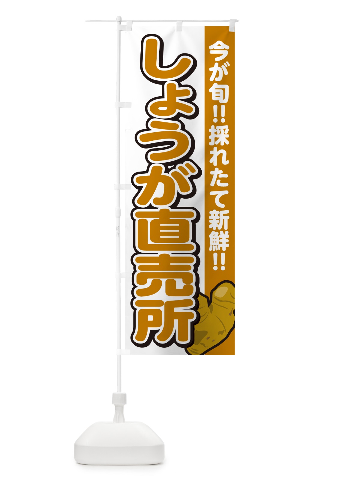 のぼり しょうが直売所・ショウガ・生姜 のぼり旗 GA8Y(デザイン【A】)