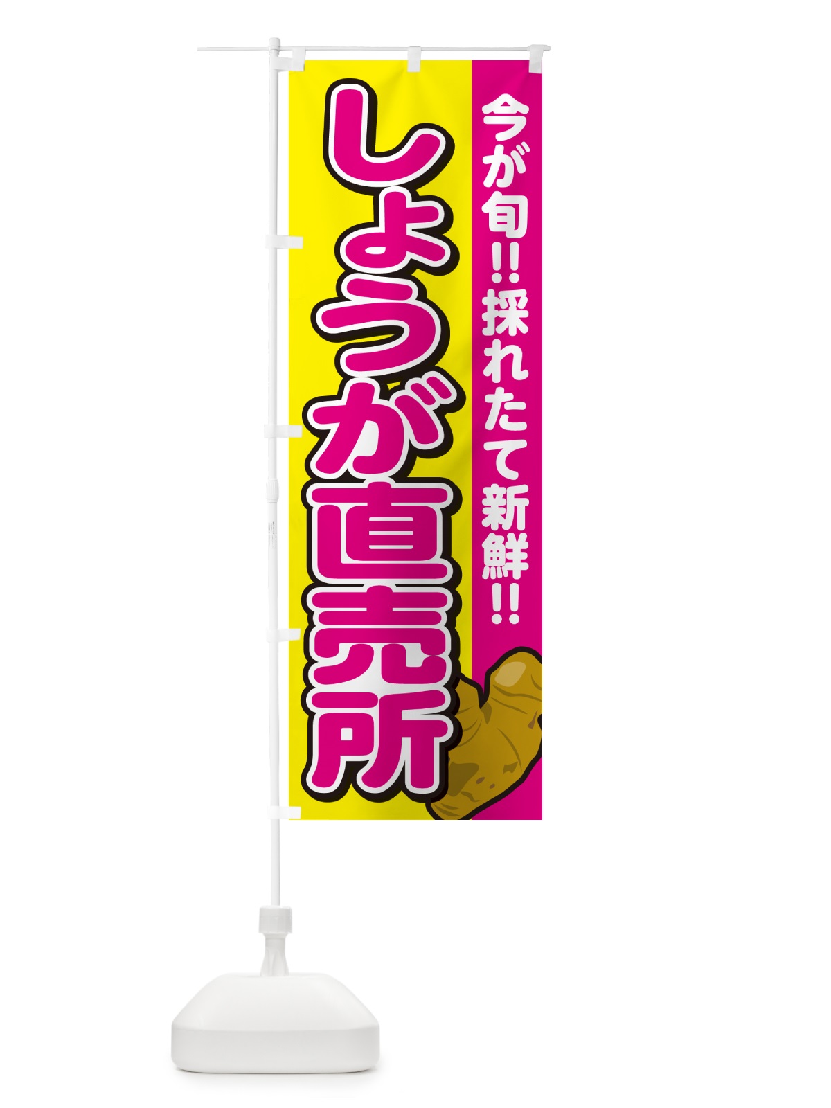 のぼり しょうが直売所・ショウガ・生姜 のぼり旗 GA8Y(デザイン【B】)