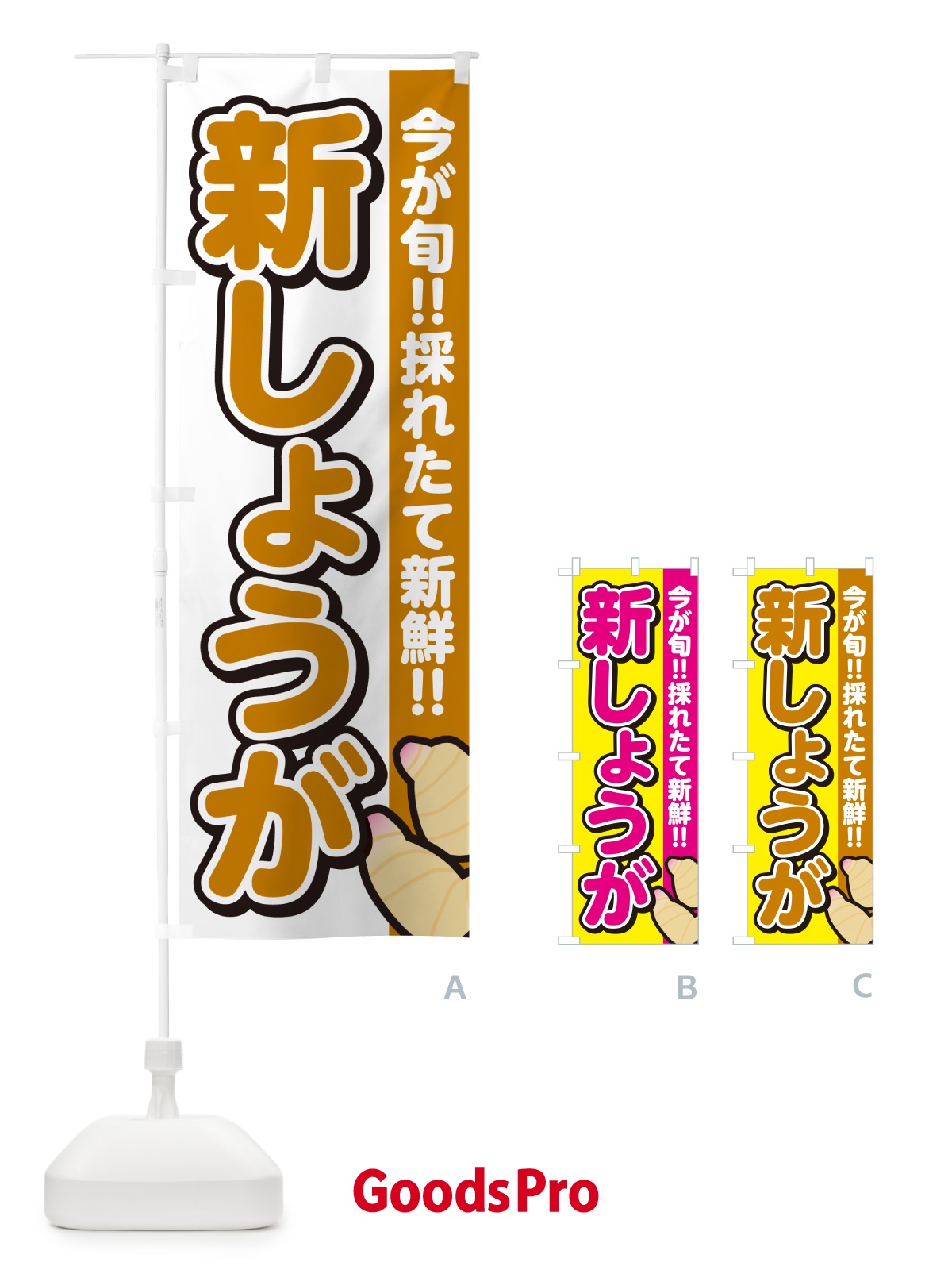 のぼり 新しょうが・ショウガ・生姜 のぼり旗 GALE