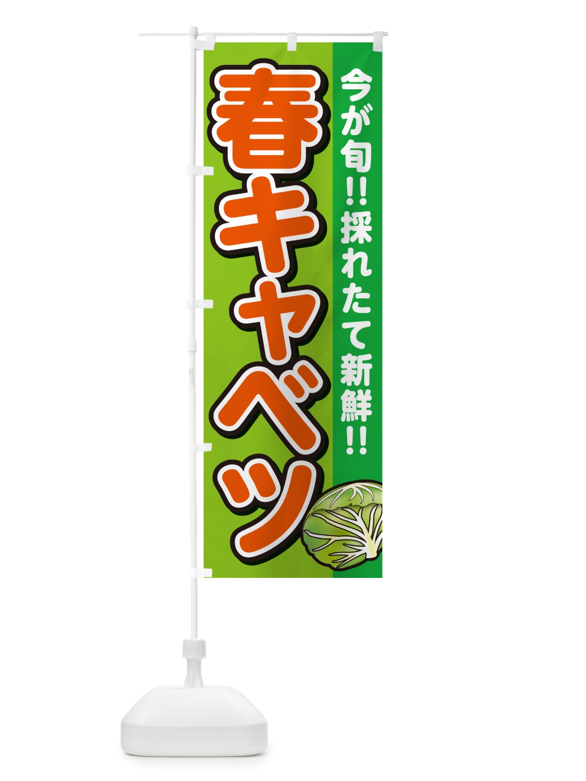 のぼり 春キャベツ・きゃべつ のぼり旗 GALF(デザイン【B】)
