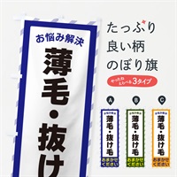 のぼり 薄毛・抜け毛・お悩み解決 のぼり旗 N0HW