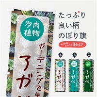 のぼり アガベ・多肉植物 のぼり旗 N285