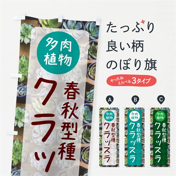 のぼり クラッスラ・春秋型種・多肉植物 のぼり旗 N288