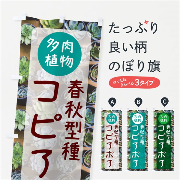 のぼり コピアポア・春秋型種・多肉植物 のぼり旗 N289