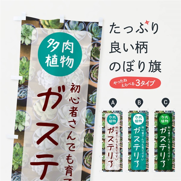 のぼり ガステリア・育てやすい・多肉植物 のぼり旗 N28C