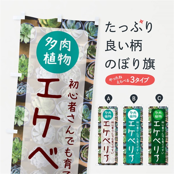 のぼり エケベリア・育てやすい・多肉植物 のぼり旗 N28J