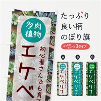 のぼり エケベリア・育てやすい・多肉植物 のぼり旗 N28J