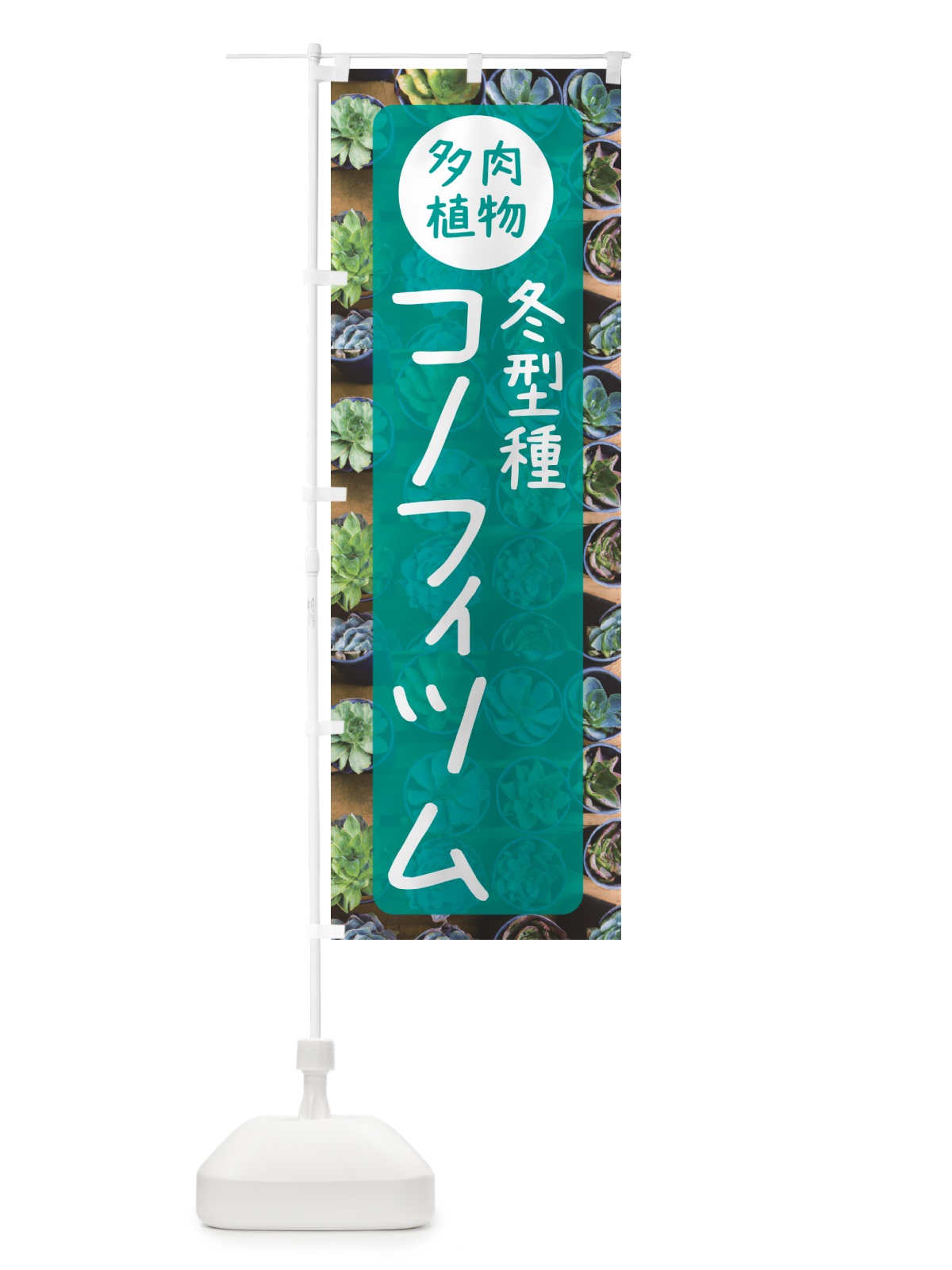 のぼり コノフィツム・冬型種・多肉植物 のぼり旗 N28L(デザイン【B】)