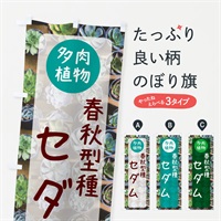 のぼり セダム・春秋型種・多肉植物 のぼり旗 N28P