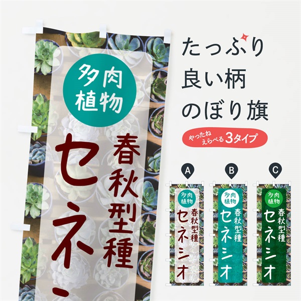 のぼり セネシオ・春秋型種・多肉植物 のぼり旗 N28R