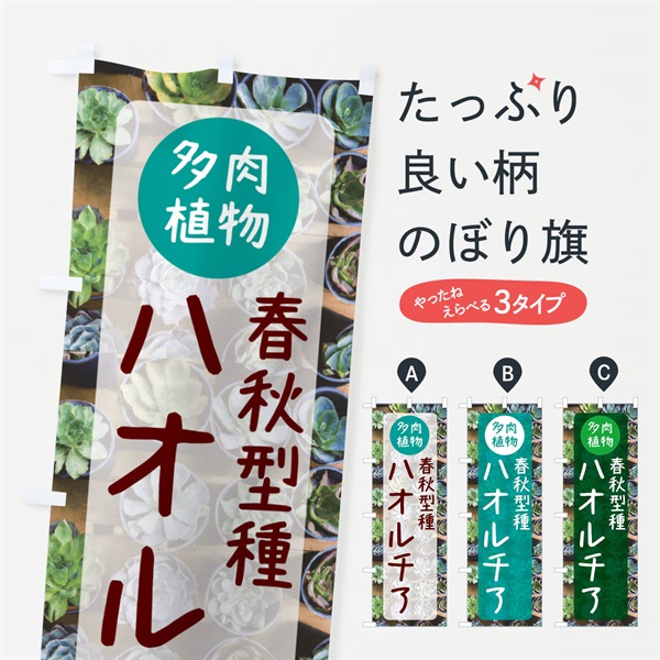 のぼり ハオルチア・春秋型種・多肉植物 のぼり旗 N28S