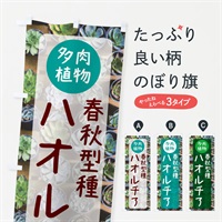 のぼり ハオルチア・春秋型種・多肉植物 のぼり旗 N28S