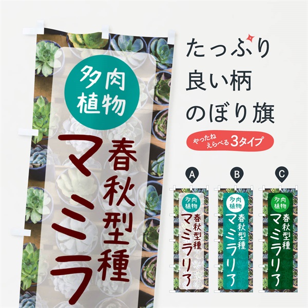 のぼり マミラリア・春秋型種・多肉植物 のぼり旗 N28U