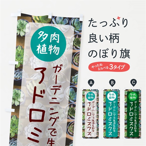 のぼり アドロミスクス・多肉植物 のぼり旗 N28W