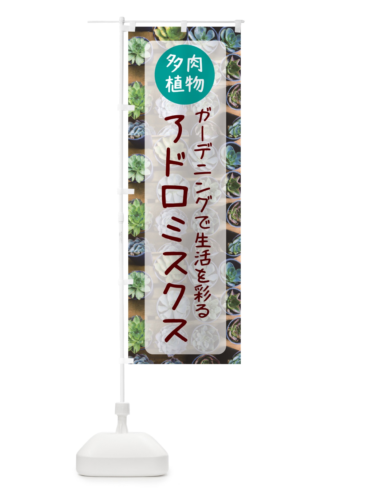 のぼり アドロミスクス・多肉植物 のぼり旗 N28W(デザイン【A】)