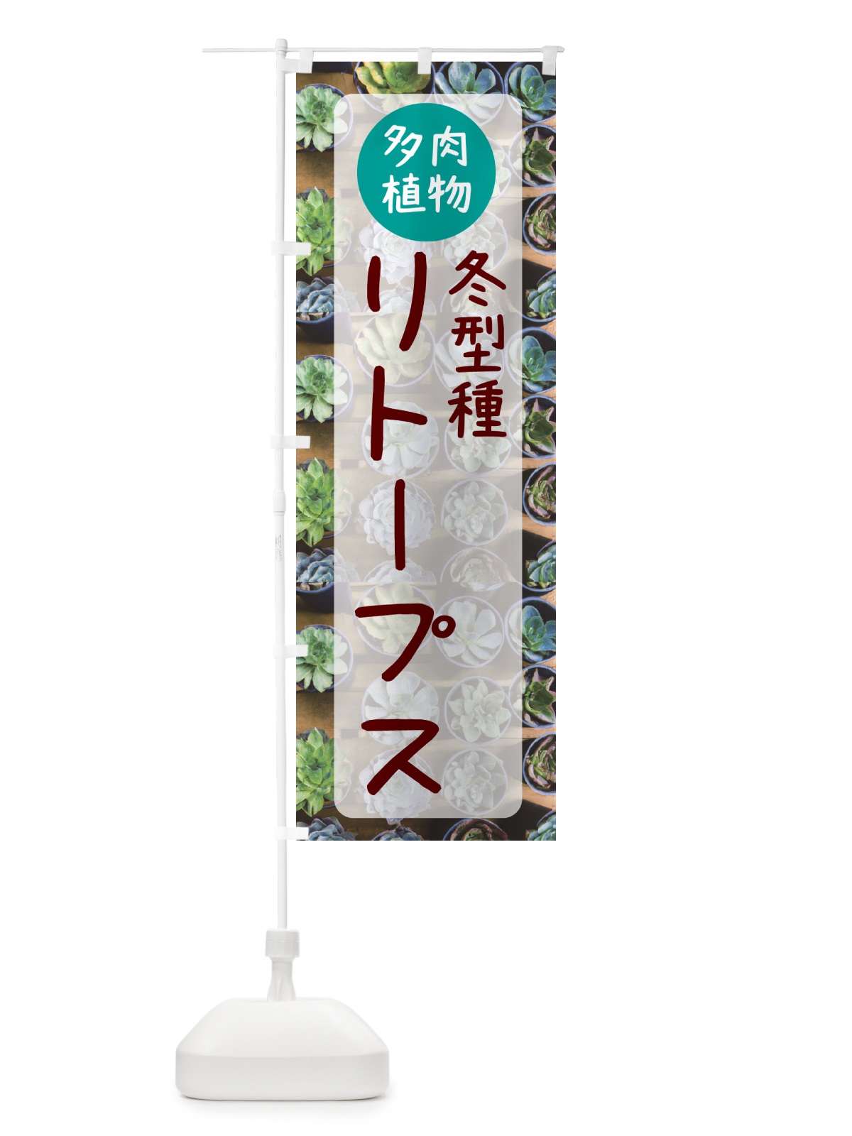 のぼり リトープス・冬型種・多肉植物 のぼり旗 N2LK(デザイン【A】)