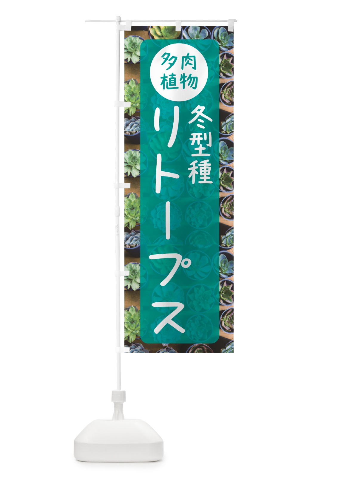 のぼり リトープス・冬型種・多肉植物 のぼり旗 N2LK(デザイン【B】)