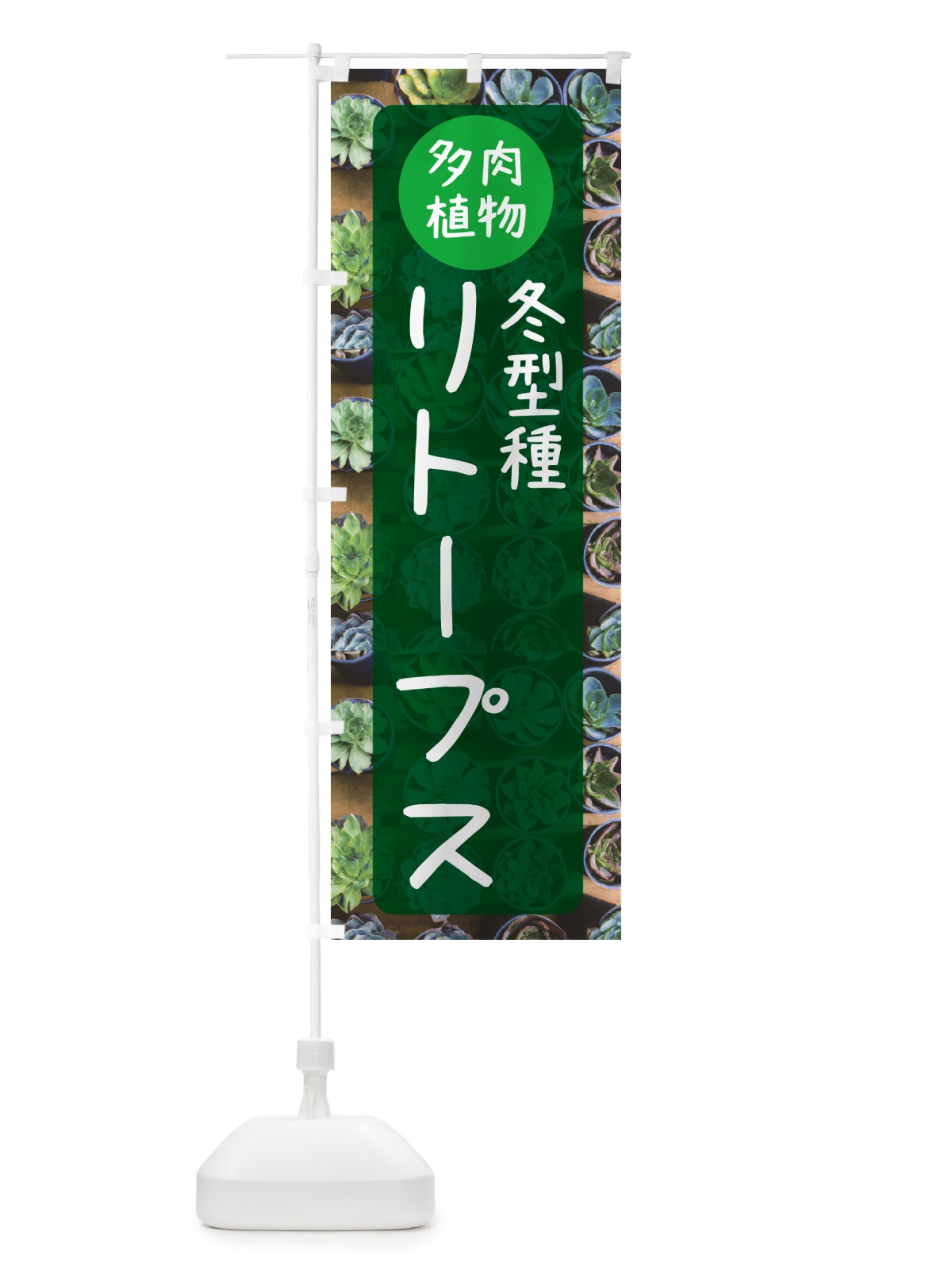 のぼり リトープス・冬型種・多肉植物 のぼり旗 N2LK(デザイン【C】)