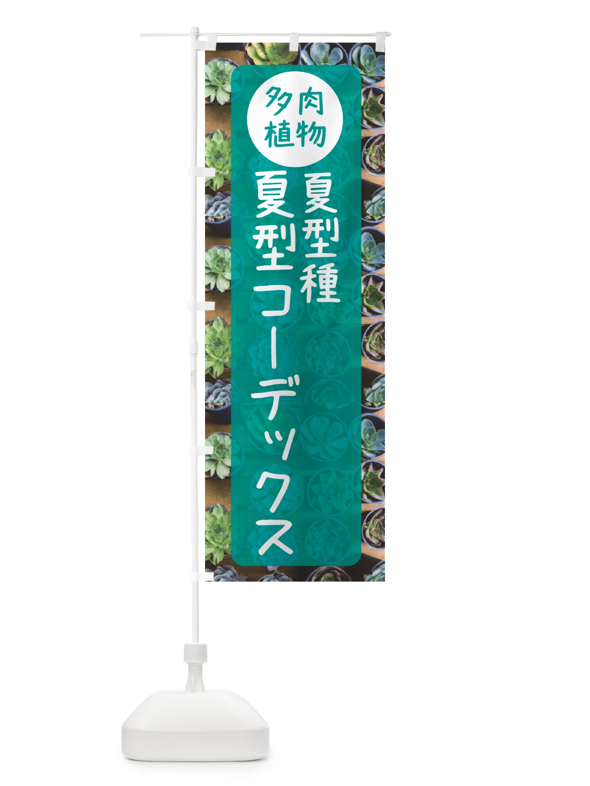 のぼり 夏型コーデックス・夏型種・多肉植物 のぼり旗 N2LY(デザイン【B】)