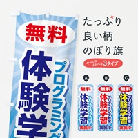 のぼり 無料体験レッスン・学習・プログラミング・パソコン教室 のぼり旗 N307