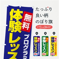 のぼり 無料体験レッスン・学習・プログラミング・パソコン教室 のぼり旗 N30E