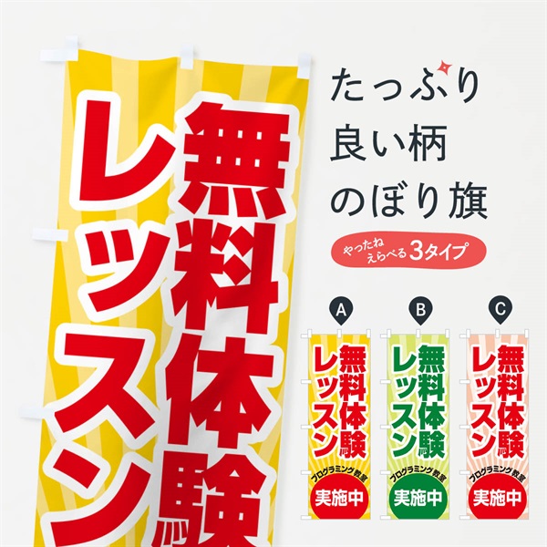 のぼり 無料体験レッスン・学習・プログラミング・パソコン教室 のぼり旗 N30F