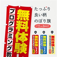 のぼり 無料体験レッスン・学習・プログラミング・パソコン教室 のぼり旗 N30G