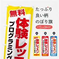 のぼり 無料体験レッスン・学習・プログラミング・パソコン教室 のぼり旗 N30X