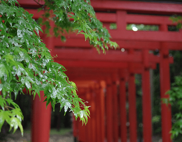 グッズプロ 風・雨対策など屋外にのぼり旗を設置する際の気になるポイント