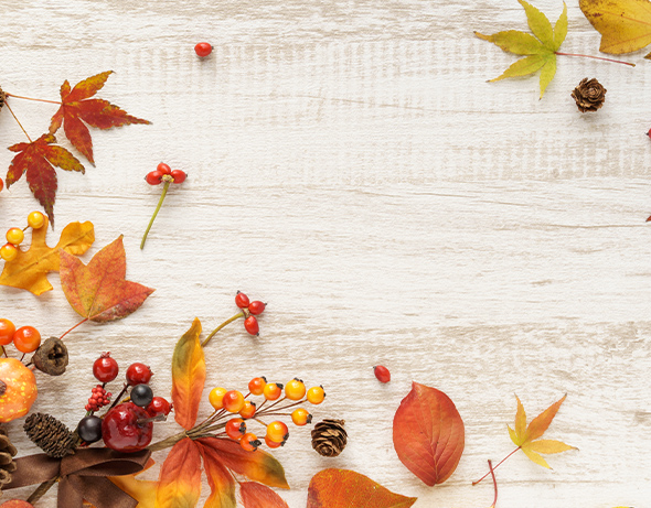 グッズプロ オリジナルのぼりの効果と活用シーン　小売のセール／新装開店／推し商品の訴求