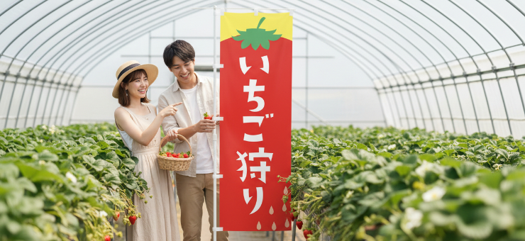 農産物販売・農業体験向けのぼり