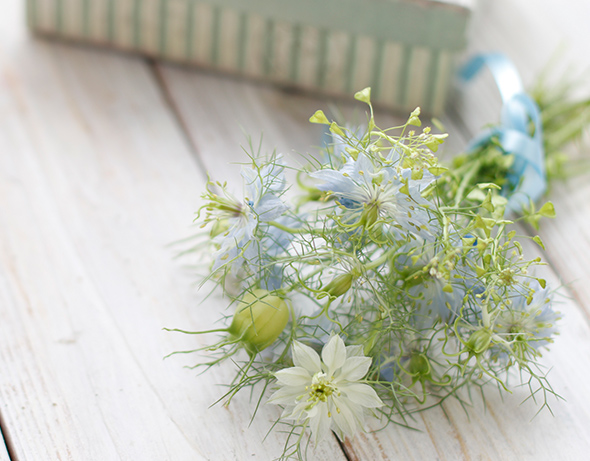 グッズプロ おしゃれポーチの種類とデザイン　最新トレンドをチェック