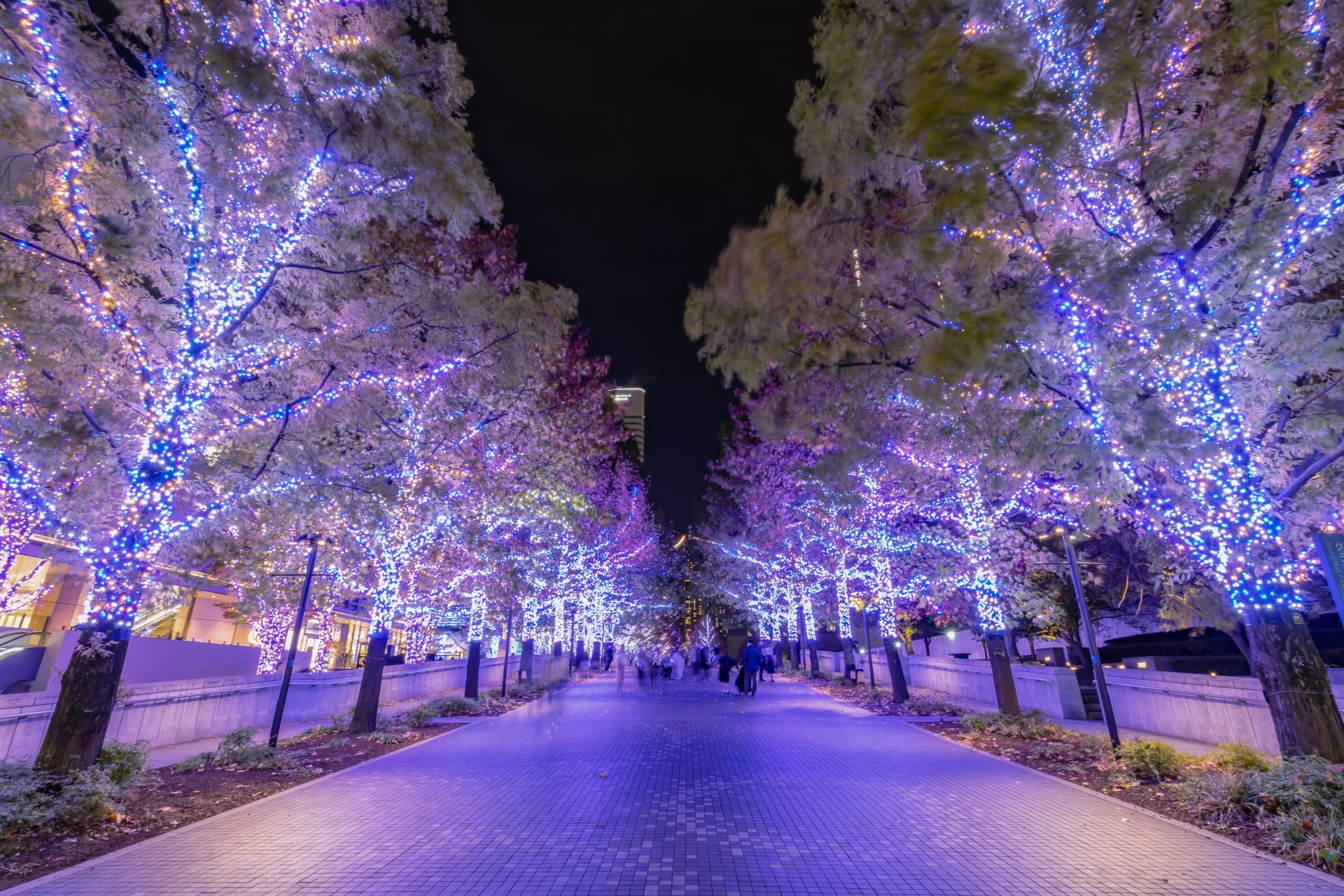 2025　年の瀬準備はお早目に！