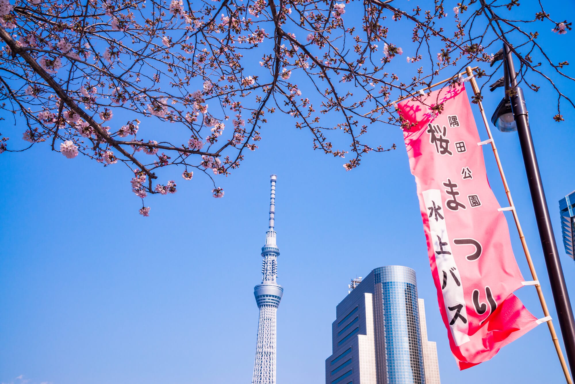 のぼり旗の選び方から集客効果まで徹底解説！理想を叶えるGoodsProのオリジナルのぼり旗